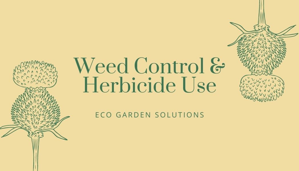 When Is the Best Time to Spray Weed Killer? – Eco Garden Solutions