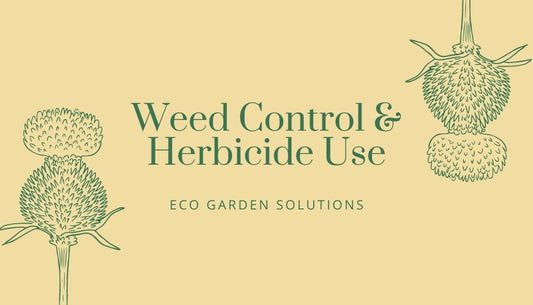 Best Herbicides Approved for Use Near Water in 2022