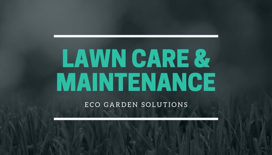 Soil Conditioning For Lawns - What You Need to Know