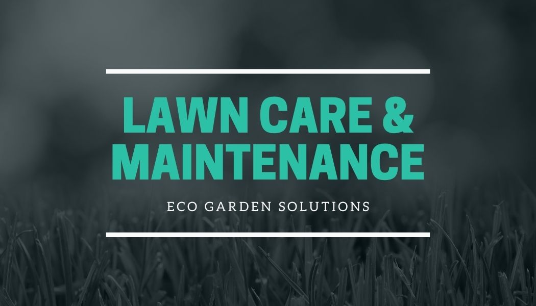 Best Time to Aerate Lawn Spring or Fall?